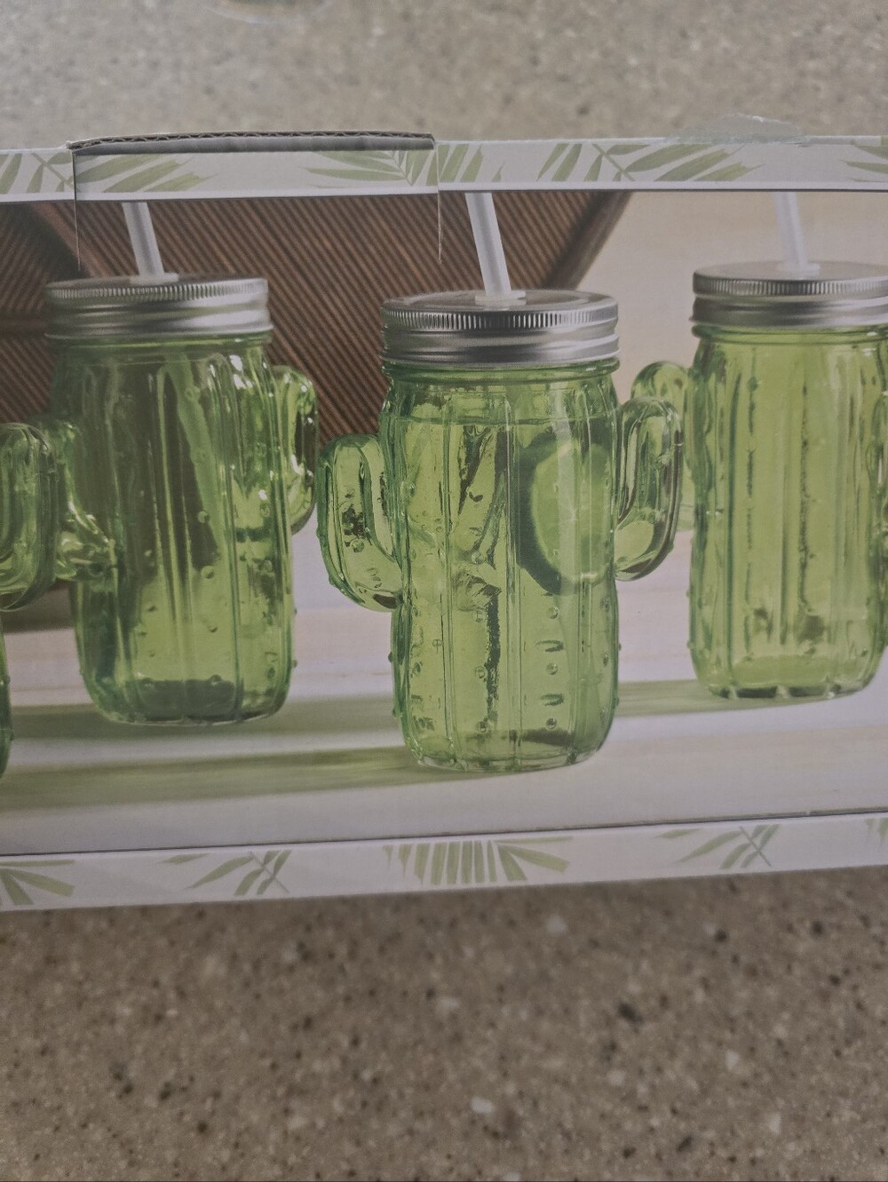 Glass Cactus Tumbler Set